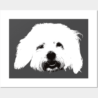 Coton de Tulear - Coton Christmas Gifts Posters and Art